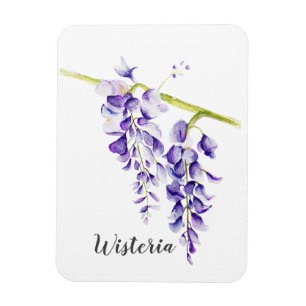 Magnet Flexible Aquarelle Wisteria Botanique