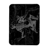 Magnet Flexible Aquarius Zodiac Constellation Hevelius 1690 (Vertical)