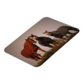 Magnet Flexible Arabes au coucher du soleil (Côté Gauche)