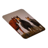 Magnet Flexible Arabes au coucher du soleil (Côté Droit)