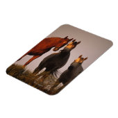 Magnet Flexible Arabes au coucher du soleil (Côté Gauche)