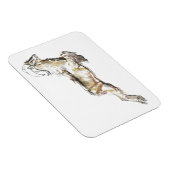 Magnet Flexible Arabian Tahr 2009 (Côté Droit)