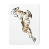 Magnet Flexible Arabian Tahr 2009 (Vertical)