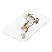 Magnet Flexible Arabian Tahr 2009 (Côté Gauche)