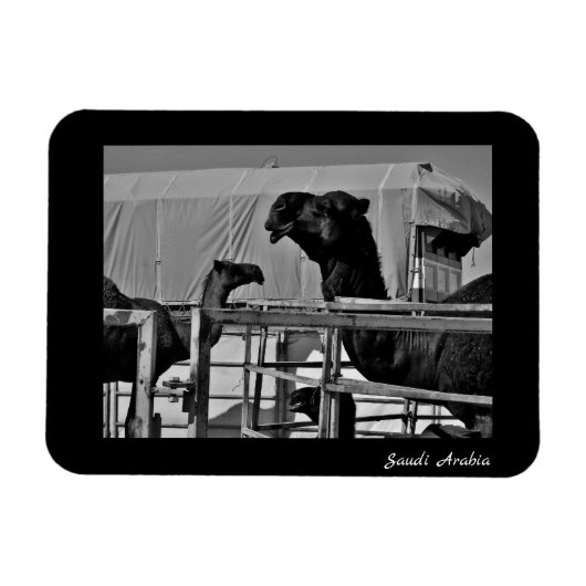 Magnet Flexible Arabie saoudite (Horizontal)