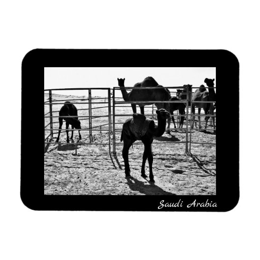 Magnet Flexible Arabie saoudite (Horizontal)