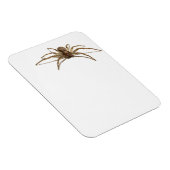 Magnet Flexible Araignée (Côté Droit)