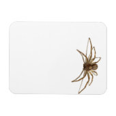 Magnet Flexible Araignée (Horizontal)