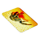 Magnet Flexible Araignée saut texane (Côté Droit)