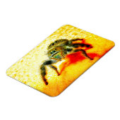 Magnet Flexible Araignée saut texane (Côté Gauche)