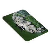 Magnet Flexible Araignée sauteuse Metaphid (Côté Droit)
