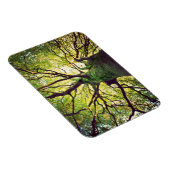 Magnet Flexible Arborescence (Côté Droit)