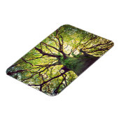 Magnet Flexible Arborescence (Côté Gauche)