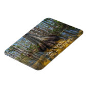 Magnet Flexible Arbre à Cyprès Bald dans le marais, Grande réserve (Côté Gauche)