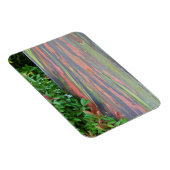 Magnet Flexible Arbre à eucalyptus arc-en-ciel (Côté Droit)
