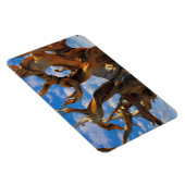 Magnet Flexible Arbre à pin bristlecone (Côté Droit)