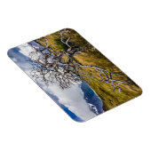 Magnet Flexible Arbre brûlé, Torres del Paine, Chili (Côté Droit)