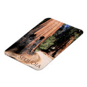 Magnet Flexible Arbre couleur cannelle géant dans le parc national (Côté Gauche)