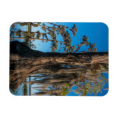 Magnet Flexible Arbre cyprès en étang dans un marécage (Horizontal)