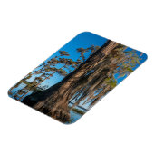 Magnet Flexible Arbre cyprès en étang dans un marécage (Côté Gauche)