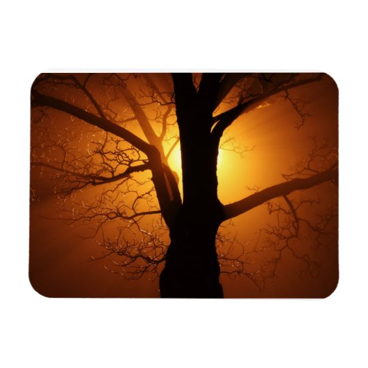 Magnet Flexible Arbre Dans L'Aimant Fog Premium (Horizontal)