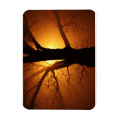 Magnet Flexible Arbre Dans L'Aimant Fog Premium (Vertical)