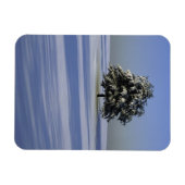Magnet Flexible Arbre dans le paysage couvert de neige (Horizontal)