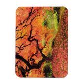 Magnet Flexible Arbre d'automne (Vertical)