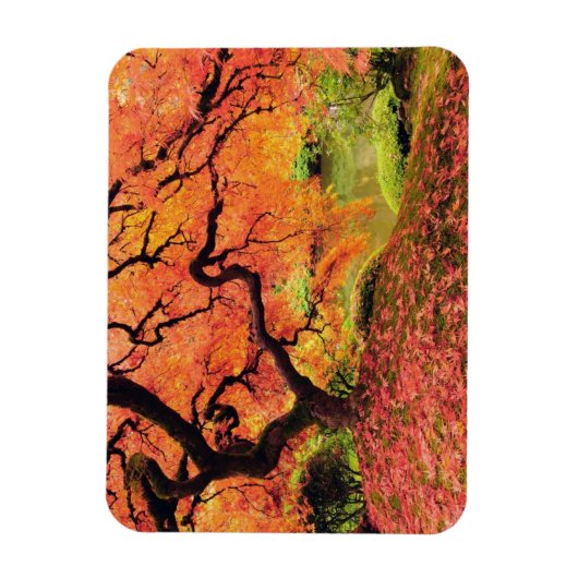 Magnet Flexible Arbre d'automne (Vertical)
