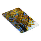 Magnet Flexible Arbre d'automne jaune (Côté Droit)