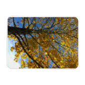 Magnet Flexible Arbre d'automne jaune (Horizontal)