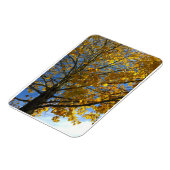 Magnet Flexible Arbre d'automne jaune (Côté Gauche)