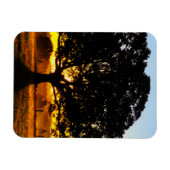 Magnet Flexible Arbre du matin (Horizontal)