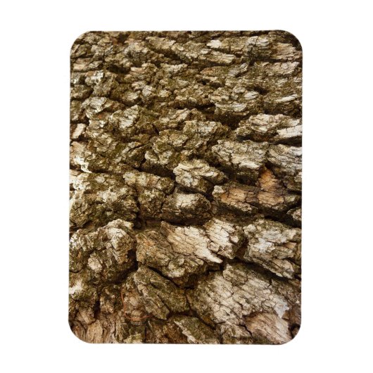 Magnet Flexible Arbre écorce II Conception texturée naturelle (Vertical)