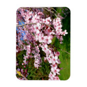 Magnet Flexible Arbre Fleur de Cerisier dans le Parc (Vertical)