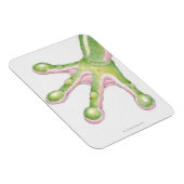 Magnet Flexible Arbre-grenouilles (Côté Droit)