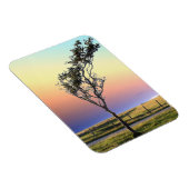 MAGNET FLEXIBLE ARBRE LONE (Côté Droit)