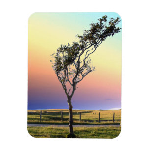 MAGNET FLEXIBLE ARBRE LONE