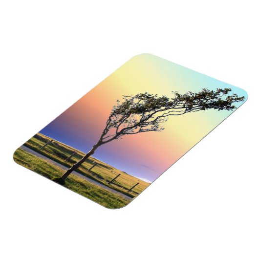 MAGNET FLEXIBLE ARBRE LONE (Côté Gauche)