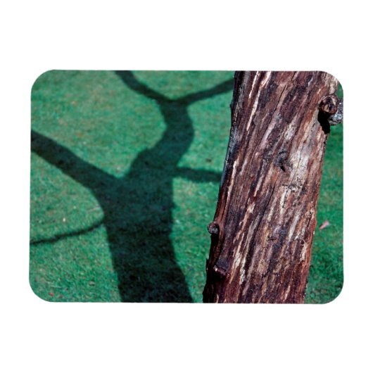 Magnet Flexible Arbre mort (Horizontal)