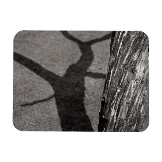 Magnet Flexible Arbre mort (Horizontal)