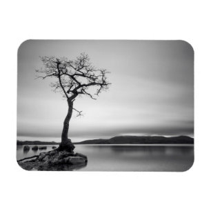Magnet Flexible Arbre nu isolé