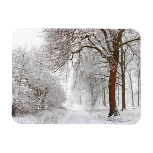 Magnet Flexible Arbre   Parc Stupinigi, Italie