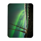 Magnet Flexible Arbre penché Aurora (Vertical)