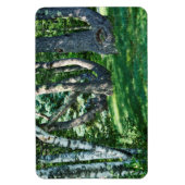 Magnet Flexible Arbres à flanc de colline (Vertical)