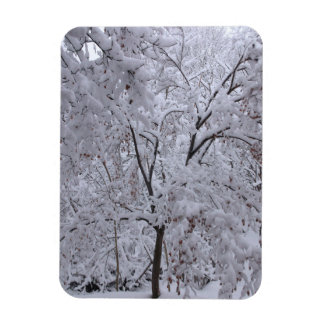 Magnet Flexible Arbres à neige
