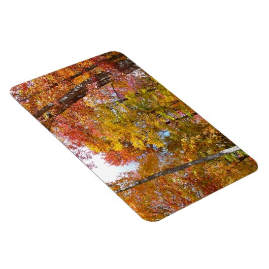 Magnet Flexible Arbres automnes oranges et jaunes Photographie d'a (Côté Droit)