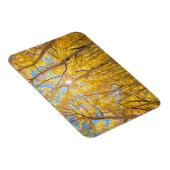 Magnet Flexible Arbres d'Aspen | Sierra Nevada Mountains, CA (Côté Droit)