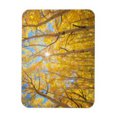 Magnet Flexible Arbres d'Aspen | Sierra Nevada Mountains, CA (Vertical)