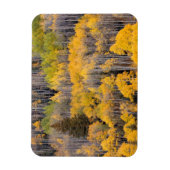 Magnet Flexible Arbres d'Aspen | White River National Forest (Vertical)
